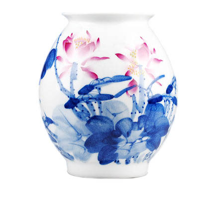 Compatible porcelain Jahrriesnge  for hand painted vase cna0772 