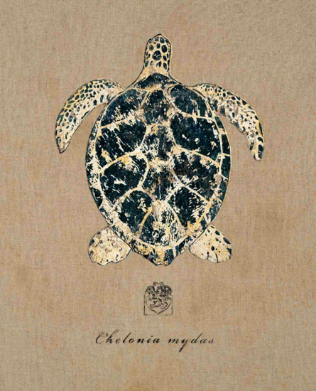 Compatible Still Life for Jahrriesnge tortoise-lpf00179 Compatible Still Life Jahrriesnge for tortoise-lpf00179