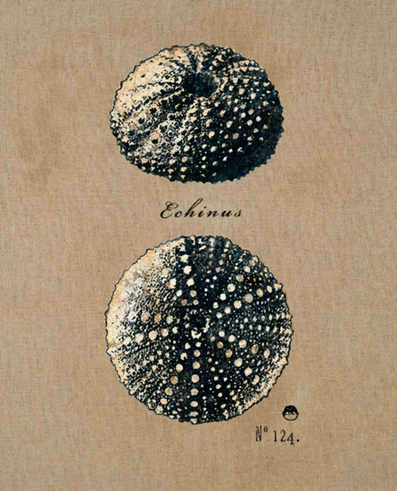 Compatible Still Life for Jahrriesnge untitle-lpf00181 Compatible Still Life Jahrriesnge for untitle-lpf00181