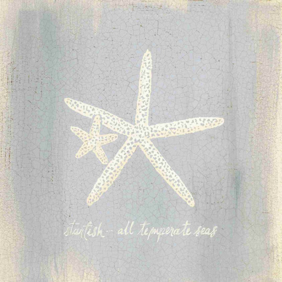 Compatible Still Life for Jahrriesnge starfish-lpf00185 Compatible Still Life Jahrriesnge for starfish-lpf00185