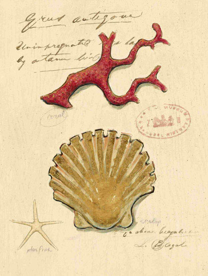 Compatible Still Life for Jahrriesnge shell-lpf00196 Compatible Still Life Jahrriesnge for shell-lpf00196