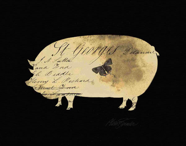 Compatible Still Life for Jahrriesnge pig-lpf00210 Compatible Still Life Jahrriesnge for pig-lpf00210