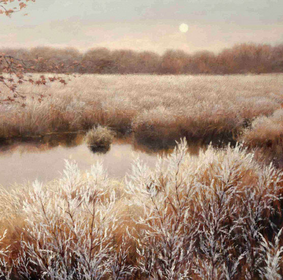 Compatible Landscape Jahrriesnge  for pond-lpf00647 