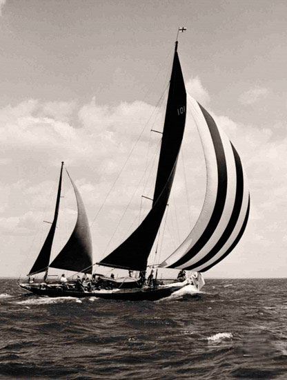 Compatible Landscape for JAHRRIESNGE sailboat-lpf00708 Compatible Landscape JAHRRIESNGE for sailboat-lpf00708