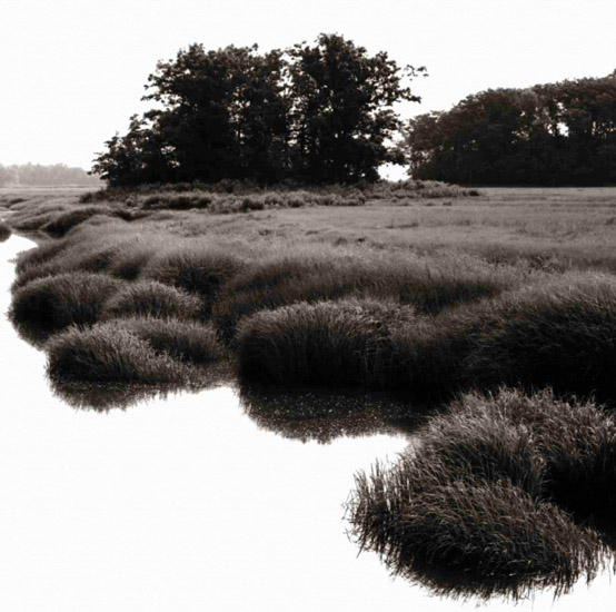 Compatible Landscape for JAHRRIESNGE untitle-lpf00775 Compatible Landscape JAHRRIESNGE for untitle-lpf00775