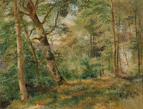 Compatible Landscape for JAHRRIESNGE tree-lpf01471 Compatible Landscape JAHRRIESNGE for tree-lpf01471