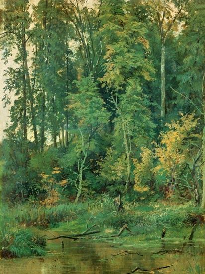 Compatible Landscape for JAHRRIESNGE tree-lpf01686 Compatible Landscape JAHRRIESNGE for tree-lpf01686