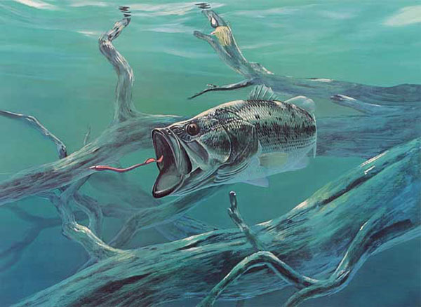 Compatible Animals Jahrriesnge  for fish-lpf02522 