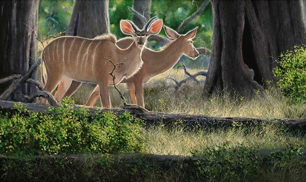 Compatible Animals for Jahrriesnge antelope-lpf02532 Compatible Animals Jahrriesnge for antelope-lpf02532