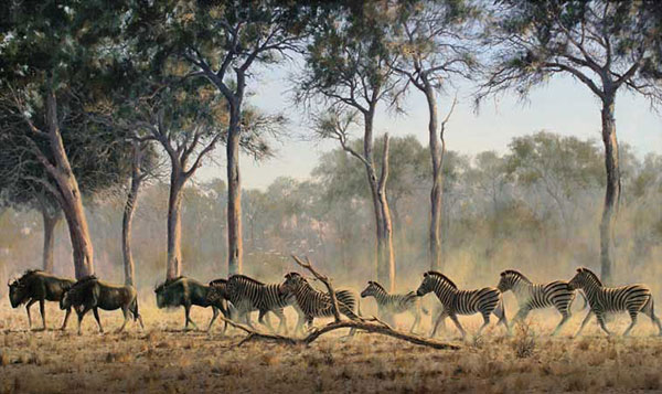 Compatible Animals for Jahrriesnge Plain-zebra-lpf02533 Compatible Animals Jahrriesnge for Plain-zebra-lpf02533