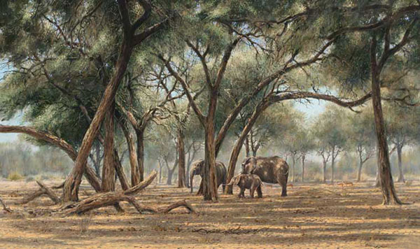 Compatible Animals for Jahrriesnge elephant-lpf02557 Compatible Animals Jahrriesnge for elephant-lpf02557