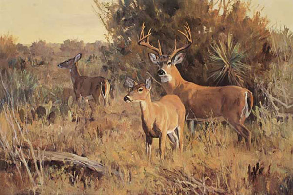 Compatible Animals for Jahrriesnge deers-lpf02559 Compatible Animals Jahrriesnge for deers-lpf02559