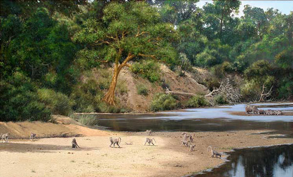 Compatible Animals for Jahrriesnge monkey-lpf02564 Compatible Animals Jahrriesnge for monkey-lpf02564