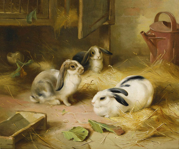 Compatible Animals for Jahrriesnge rabbit-lpf02587 Compatible Animals Jahrriesnge for rabbit-lpf02587