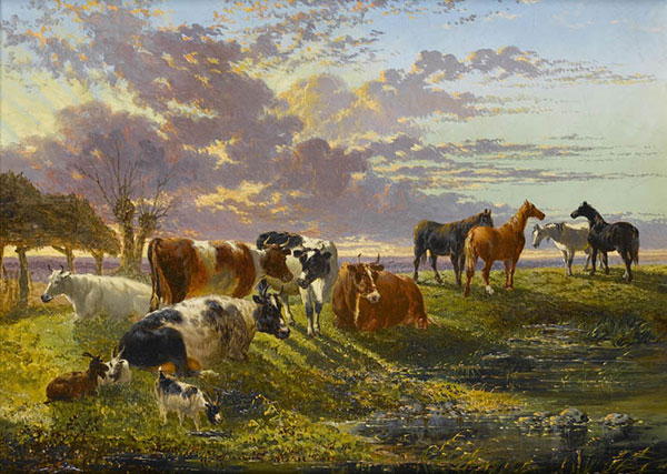 Compatible Animals Jahrriesnge  for horse-lpf02622 