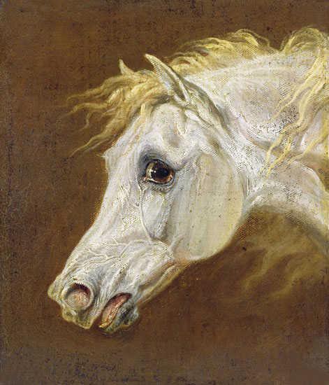 Compatible Animals for Jahrriesnge horse-lpf02650 Compatible Animals Jahrriesnge for horse-lpf02650