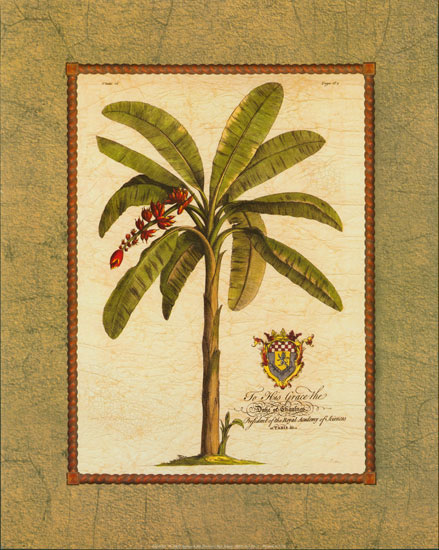 Compatible Floral for JAHRRIESNGE flower lpf04436 Compatible Floral JAHRRIESNGE for flower lpf04436