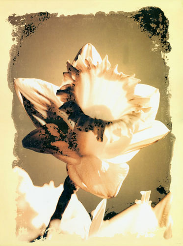 Compatible Floral for JAHRRIESNGE flower lpf04588 Compatible Floral JAHRRIESNGE for flower lpf04588