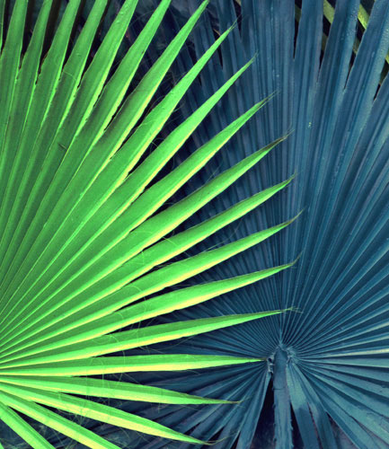 Compatible Floral for JAHRRIESNGE pu kui lpf04589 Compatible Floral JAHRRIESNGE for pu kui lpf04589