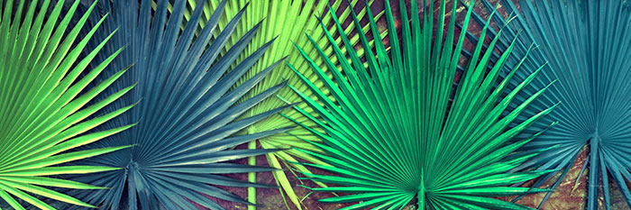 Compatible Floral for JAHRRIESNGE flowers lpf04592 Compatible Floral JAHRRIESNGE for flowers lpf04592