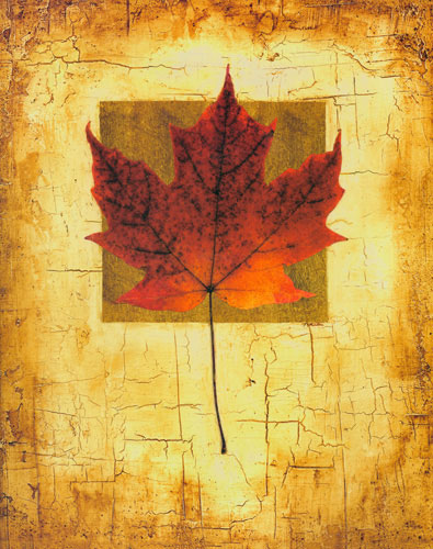 Compatible Floral for JAHRRIESNGE leaf lpf04632 Compatible Floral JAHRRIESNGE for leaf lpf04632