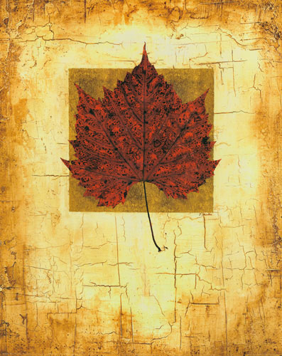 Compatible Floral for JAHRRIESNGE leaf lpf04636 Compatible Floral JAHRRIESNGE for leaf lpf04636