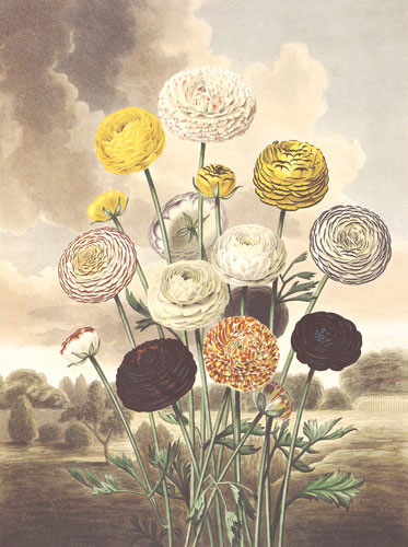 Compatible Floral for JAHRRIESNGE flower lpf04700 Compatible Floral JAHRRIESNGE for flower lpf04700