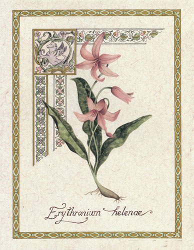 Compatible Floral for JAHRRIESNGE flower lpf04736 Compatible Floral JAHRRIESNGE for flower lpf04736