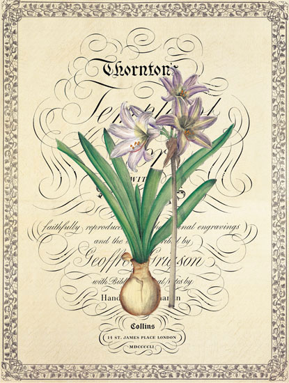 Compatible Floral for JAHRRIESNGE flower lpf04739 Compatible Floral JAHRRIESNGE for flower lpf04739