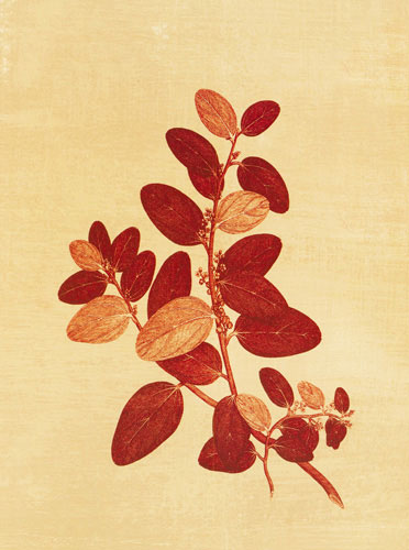 Compatible Floral for JAHRRIESNGE flowers lpf04760 Compatible Floral JAHRRIESNGE for flowers lpf04760