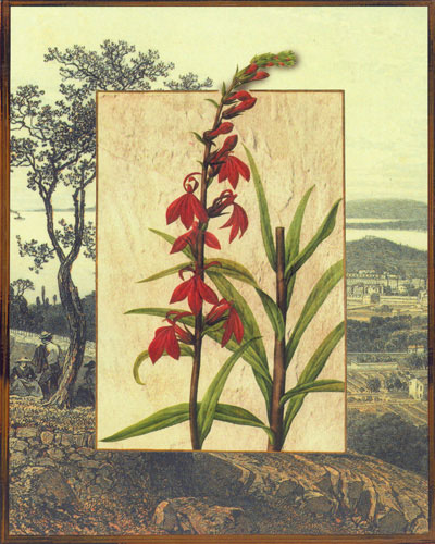 Compatible Floral Jahrriesnge  for flowers lpf04830 