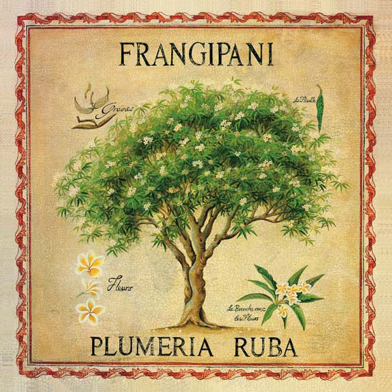 Compatible Floral for JAHRRIESNGE flowers lpf04957 Compatible Floral JAHRRIESNGE for flowers lpf04957