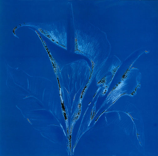 Compatible Floral for JAHRRIESNGE flowers lpf05272 Compatible Floral JAHRRIESNGE for flowers lpf05272