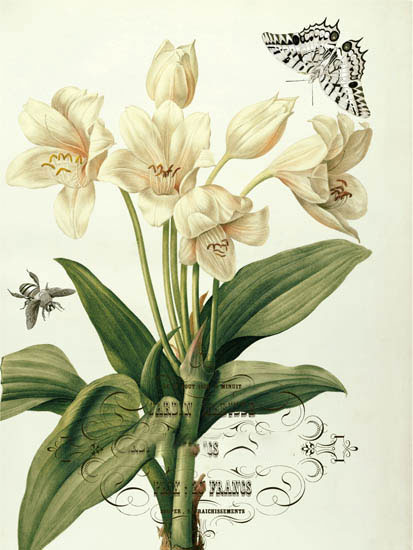 Compatible Floral for JAHRRIESNGE flowers-lpf06638 Compatible Floral JAHRRIESNGE for flowers-lpf06638