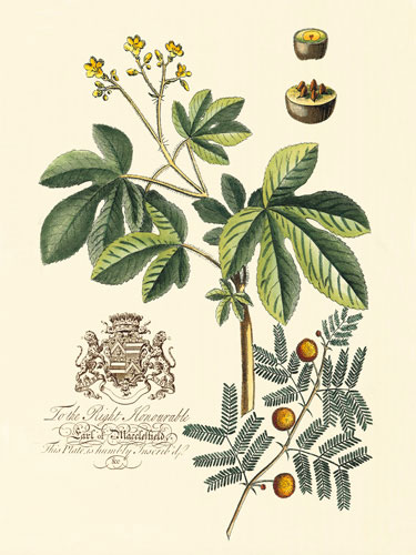 Compatible Floral for JAHRRIESNGE flowers-lpf06644 Compatible Floral JAHRRIESNGE for flowers-lpf06644