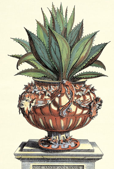 Compatible Floral for JAHRRIESNGE flowers-lpf06773 Compatible Floral JAHRRIESNGE for flowers-lpf06773