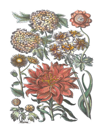 Compatible Floral for JAHRRIESNGE flowers-lpf06780 Compatible Floral JAHRRIESNGE for flowers-lpf06780