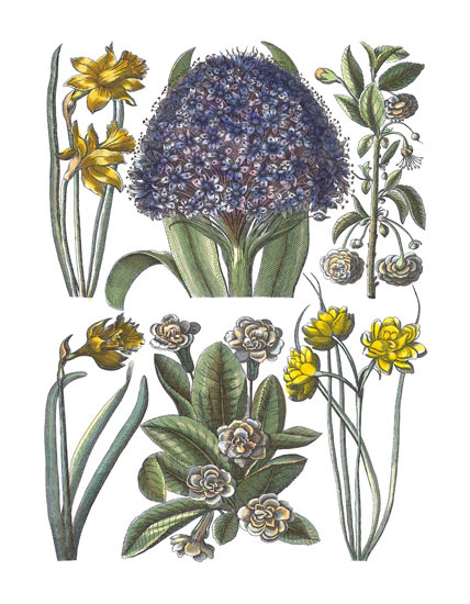 Compatible Floral for JAHRRIESNGE flowers-lpf06782 Compatible Floral JAHRRIESNGE for flowers-lpf06782