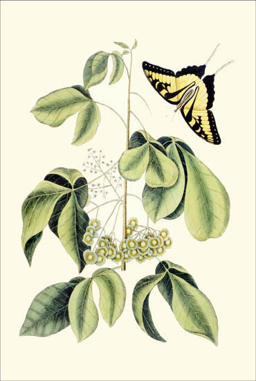 Compatible Floral for JAHRRIESNGE flowers-lpf06783 Compatible Floral JAHRRIESNGE for flowers-lpf06783