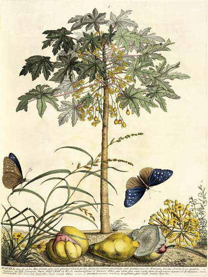 Compatible Floral for JAHRRIESNGE flowers-lpf06785 Compatible Floral JAHRRIESNGE for flowers-lpf06785