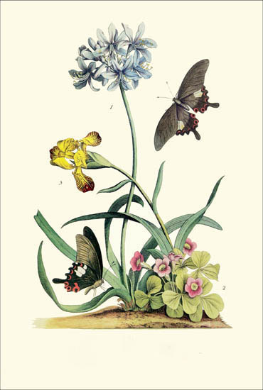 Compatible Floral for JAHRRIESNGE flowers-lpf06787 Compatible Floral JAHRRIESNGE for flowers-lpf06787