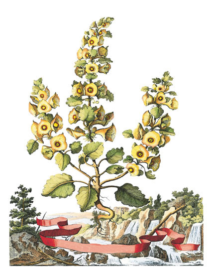 Compatible Floral for JAHRRIESNGE flowers-lpf06790 Compatible Floral JAHRRIESNGE for flowers-lpf06790