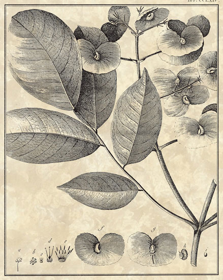 Compatible Floral for JAHRRIESNGE flowers-lpf06794 Compatible Floral JAHRRIESNGE for flowers-lpf06794