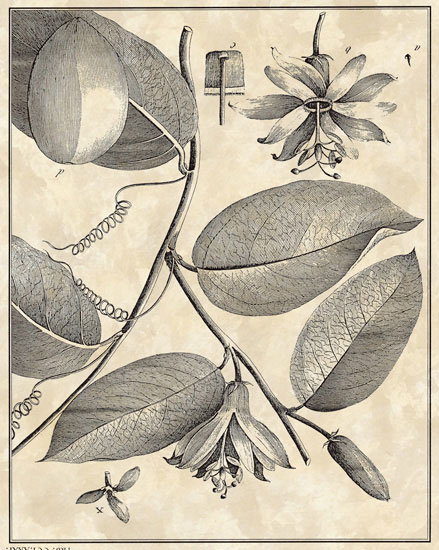 Compatible Floral for JAHRRIESNGE flowers-lpf06795 Compatible Floral JAHRRIESNGE for flowers-lpf06795