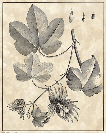 Compatible Floral for JAHRRIESNGE flowers-lpf06796 Compatible Floral JAHRRIESNGE for flowers-lpf06796