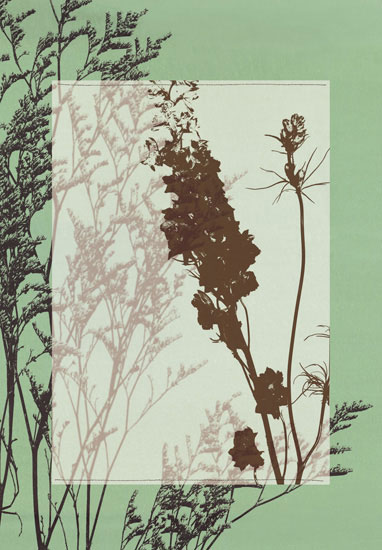 Compatible Floral for JAHRRIESNGE flowers-lpf06812 Compatible Floral JAHRRIESNGE for flowers-lpf06812