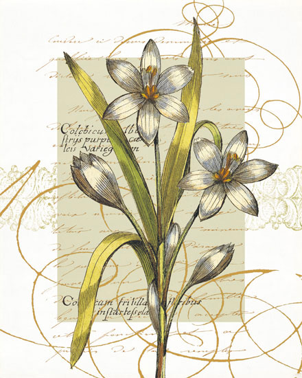 Compatible Floral for JAHRRIESNGE flowers-lpf06823 Compatible Floral JAHRRIESNGE for flowers-lpf06823