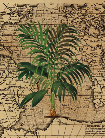 Compatible Floral for JAHRRIESNGE grass-lpf06841 Compatible Floral JAHRRIESNGE for grass-lpf06841