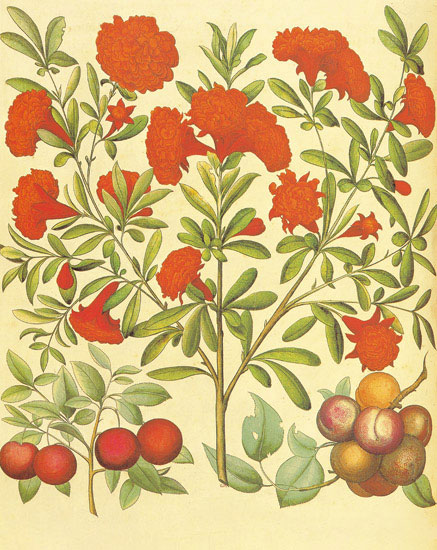 Compatible Floral for JAHRRIESNGE flowers-lpf06862 Compatible Floral JAHRRIESNGE for flowers-lpf06862