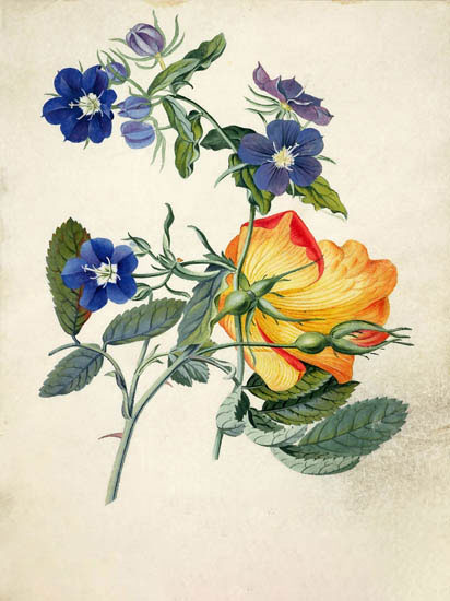 Compatible Floral for JAHRRIESNGE flowers-lpf06889 Compatible Floral JAHRRIESNGE for flowers-lpf06889